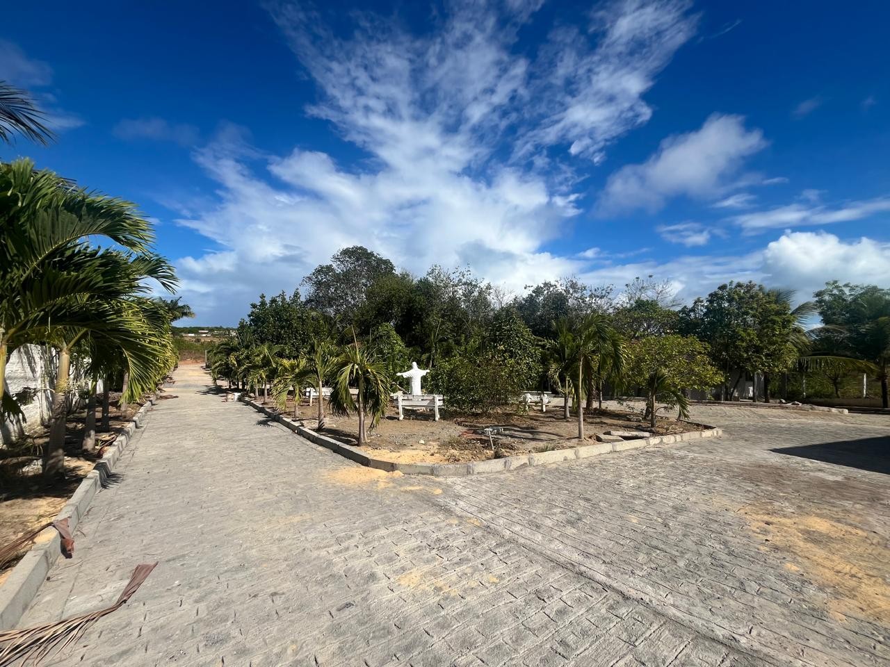 Chácara, 3 quartos, 7800 m² - Foto 6