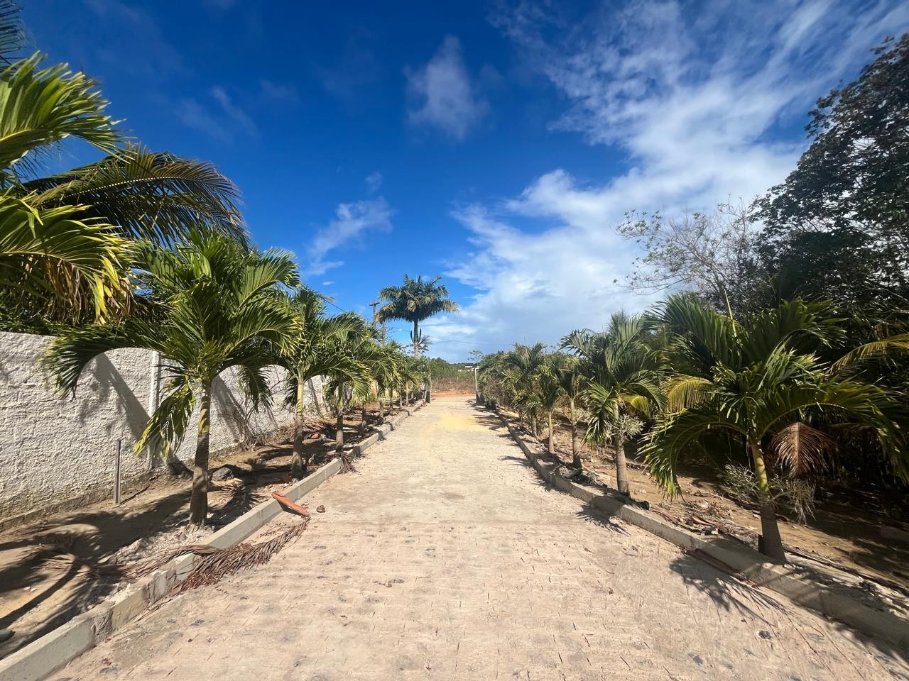 Chácara, 3 quartos, 7800 m² - Foto 7