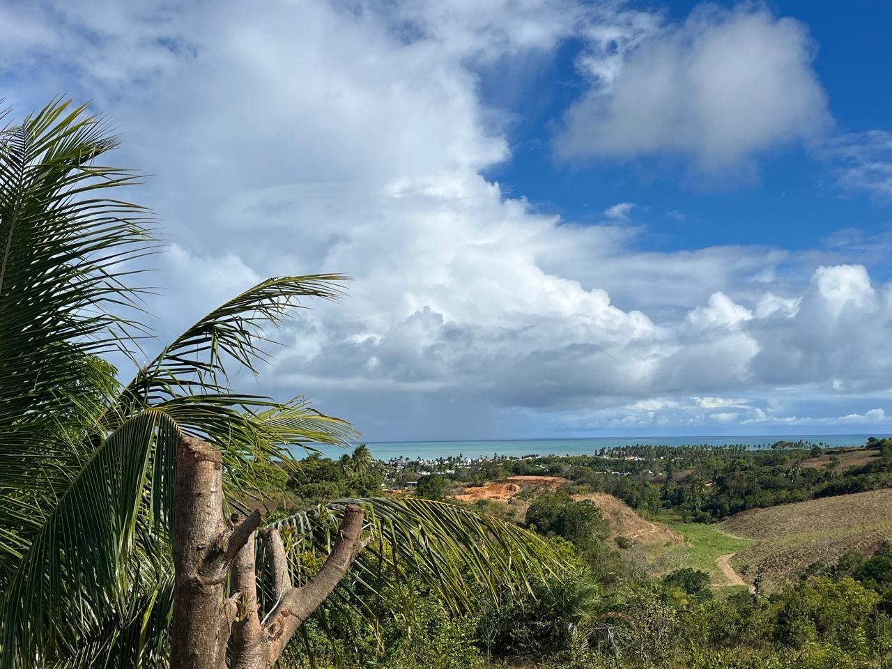 Chácara, 3 quartos, 7800 m² - Foto 10