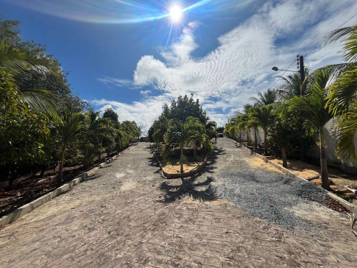 Chácara, 3 quartos, 7800 m² - Foto 11