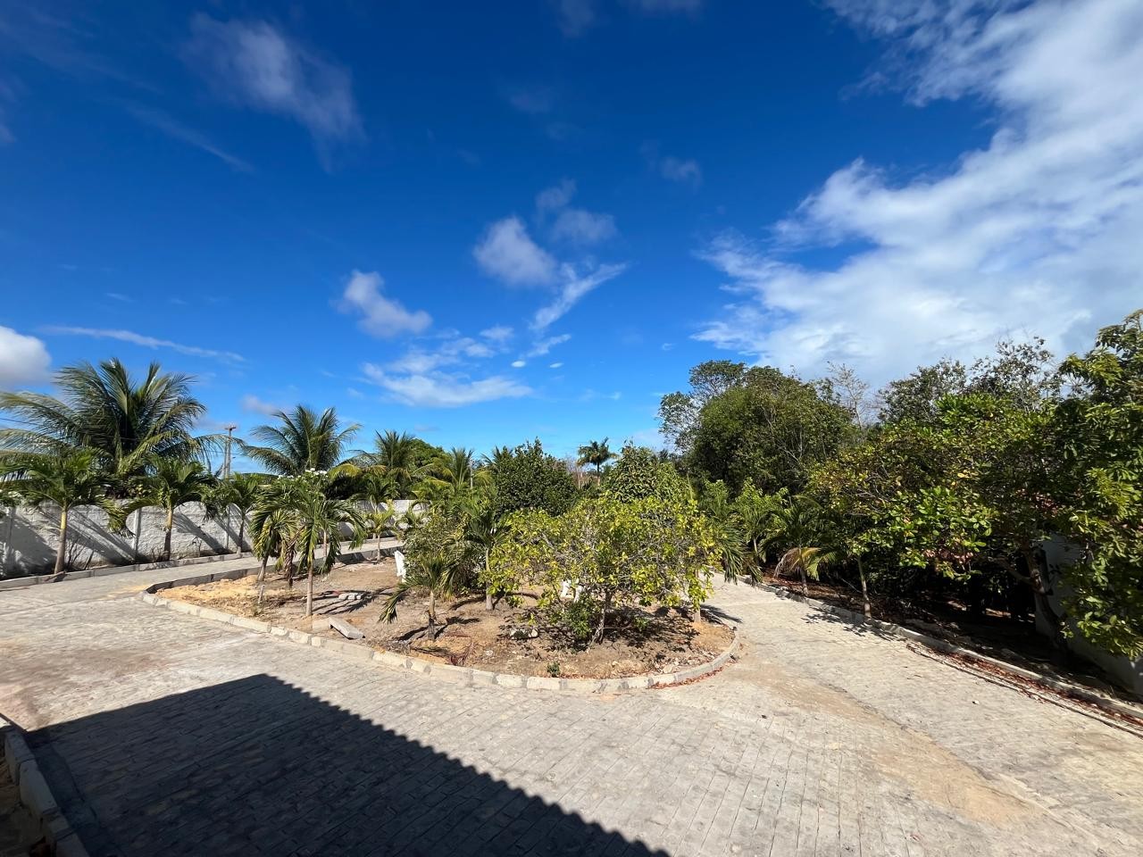 Chácara, 3 quartos, 7800 m² - Foto 13