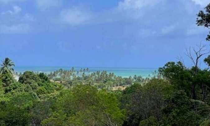 Terreno, 250 m² - Foto 3